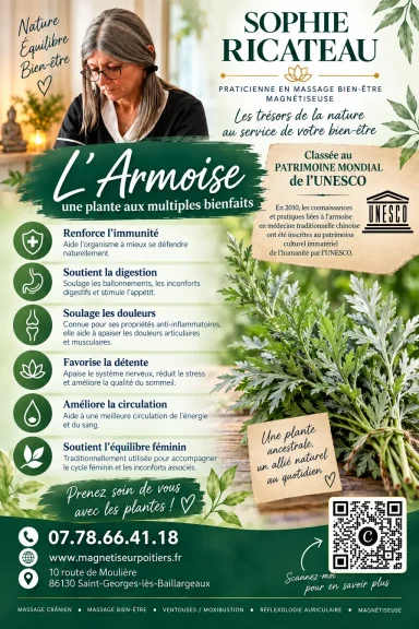 bienfaits de l'armoise